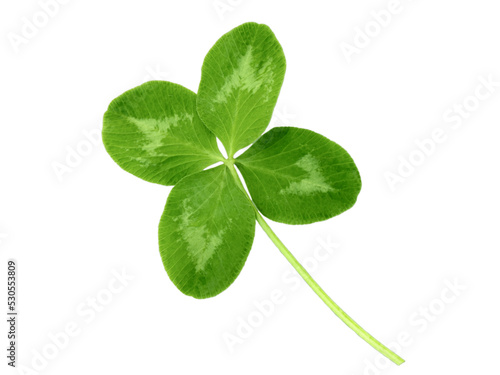 Fotografie Lucky clover St Patrick Day irish holiday shamrock symbol isolated transparent p