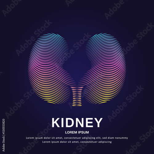 Human kidney medical structure. Vector logo kidney color silhouette on a dark background. EPS 10