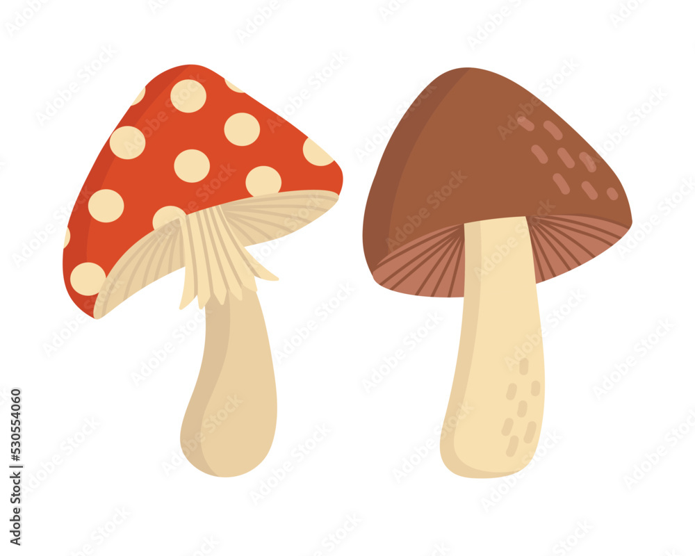 Doodle flat clipart. Edible brown mushroom. All objects are repainted. Doodle flat clipart. Edible brown mushroom. All objects are repainted.