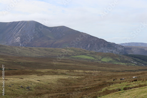 Snowdonia Carneddau Carnedd y Filiast