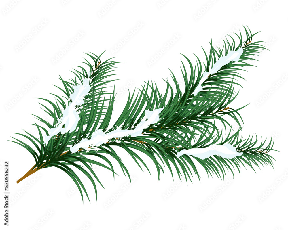 Naklejka premium Fir Branch Christmas Element