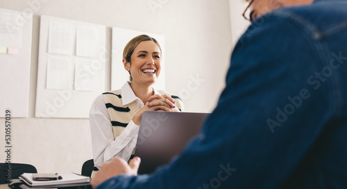 Cheerful businesswoman having a meeting with a business partner in her office