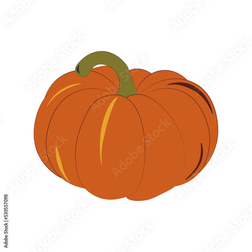 orange pumpkin isolated on white background