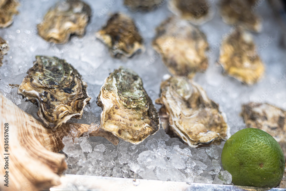 Oysters on ice with limes and shell Oysters on ice with limes and shell