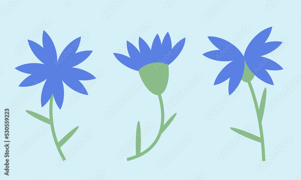 Set of cornflowers. Wildflowers in flat style. Set of cornflowers. Wildflowers in flat style.
