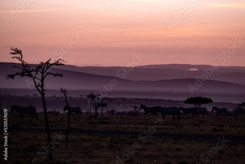KENYA - HUMAN INTEREST - NAIBOSHO CONSERVATORY PARK © Alexander