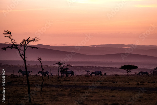 KENYA - HUMAN INTEREST - NAIBOSHO CONSERVATORY PARK © Alexander