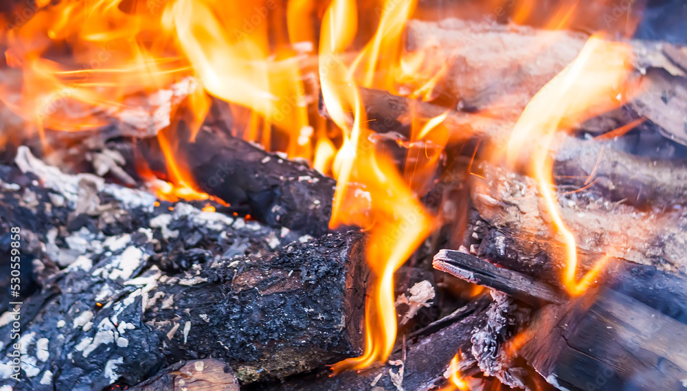 Flame of fire burning in the brazier Flame of fire burning in the brazier