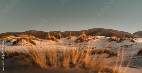 Panorama über die Dünen Dune di Porto Pino auf der Insel Sardinien in Italien bei Sonnenuntergang 