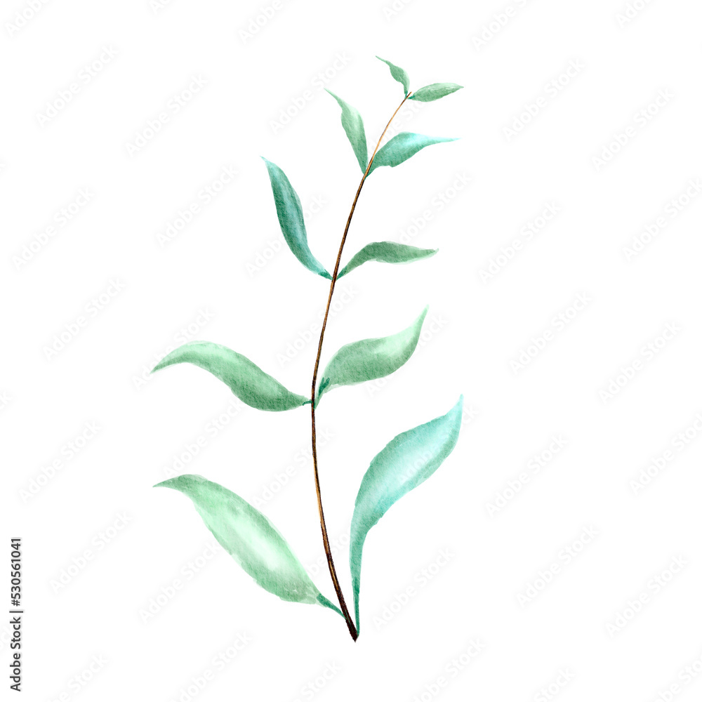 Fototapeta premium watercolor green leaf branch paper painting