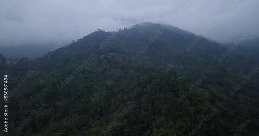 Forest and hill in the morning in foggy weather. jungle thick videos. tropical rain forest aerial view. Forest and hill in the morning in foggy weather. jungle thick videos. tropical rain forest aerial view.