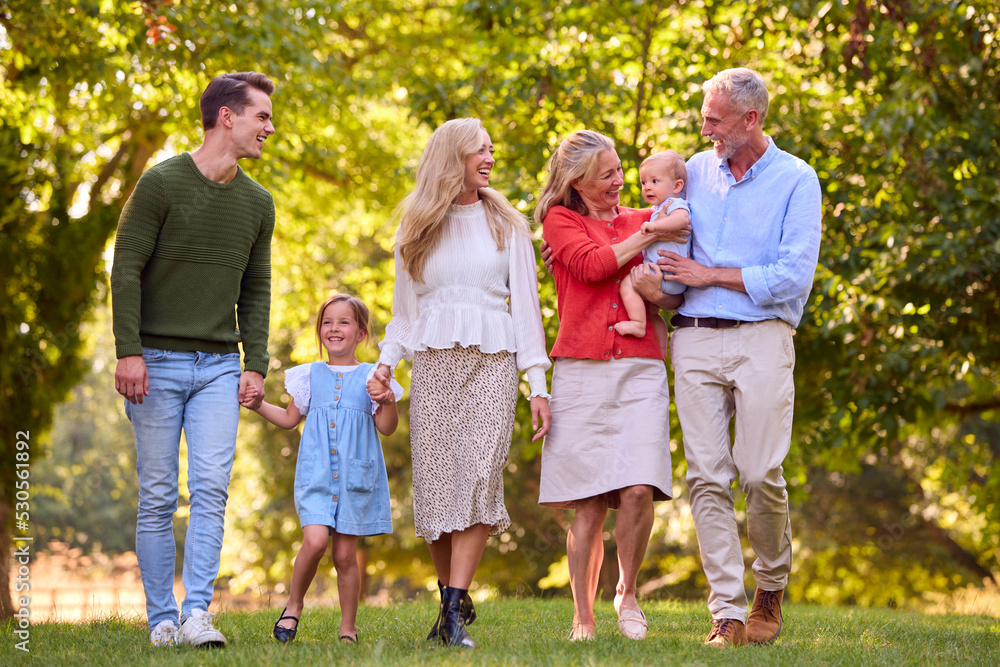 Fototapeta premium Multi-Generation Family Enjoying Walk In Countryside Together