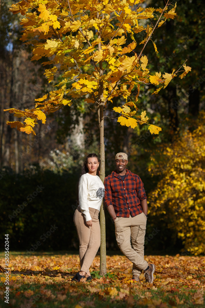 A white girl and a black guy are standing under a tree in an autumn park.
