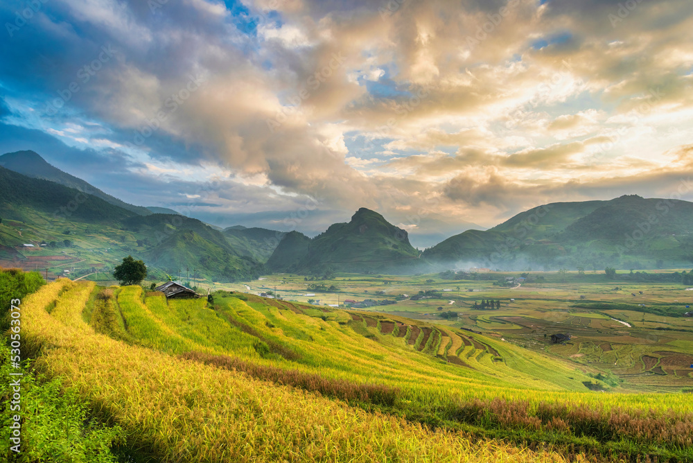 large terraced rice fields Among the mountains, at dawn, in Vietnam.