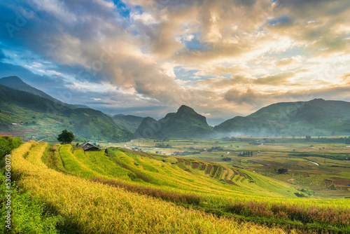large terraced rice fields Among the mountains, at dawn, in Vietnam.