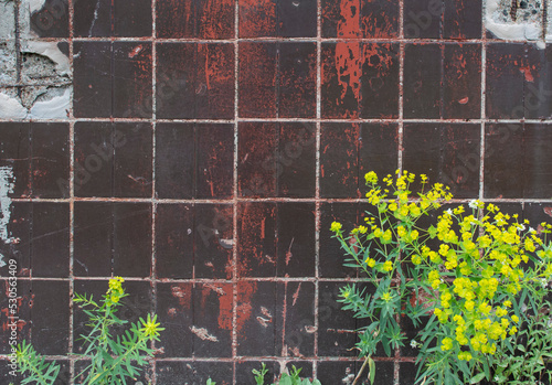 Wall texture with square tiles