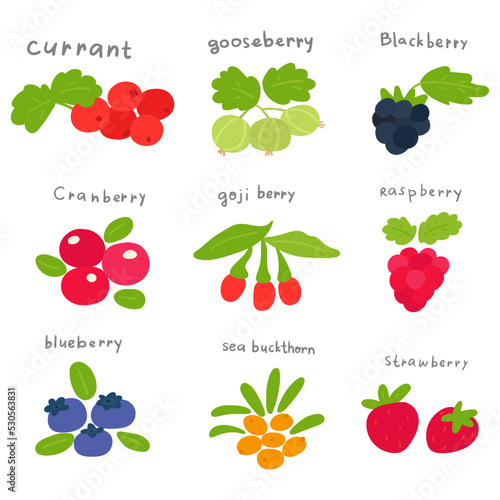 Collection of berries. Hand drawn 
flat vector icons on white background.