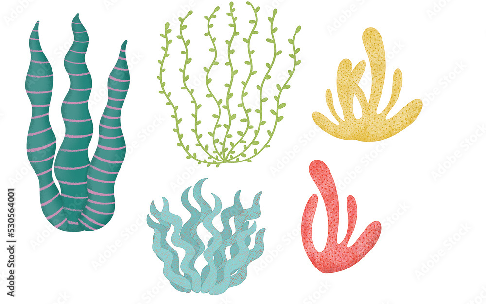Sea set, algae of different colors. Hand-drawn. Each element is isolated on a transparent background. PNG file. Sea set, algae of different colors. Hand-drawn. Each element is isolated on a transparent background. PNG file.
