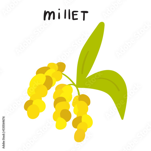 Millet. Flat vector hand drawn illustration on white background.