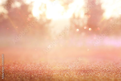 blurred abstract photo of light burst among trees and glitter bokeh lights