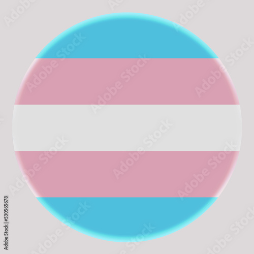 3d illustration Transgender flag on avatar circle. Freedom and love concept. Activism, community and freedom Concept.