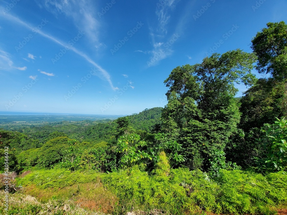 Sky Cloud Plant Ecoregion Natural landscape Landscape