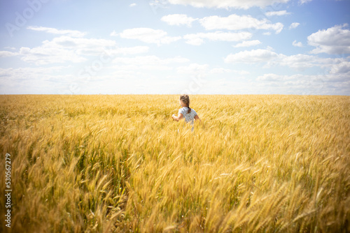young girl child in a blue t-shirt stands in the middle of an endless field of golden wheat against a blue sky.