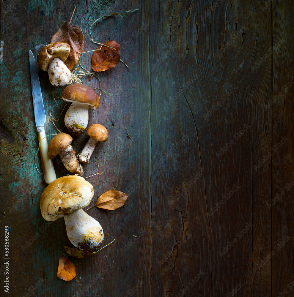 Art beautiful autumn cooking background; seasoning forest organic porcini Mushroom;