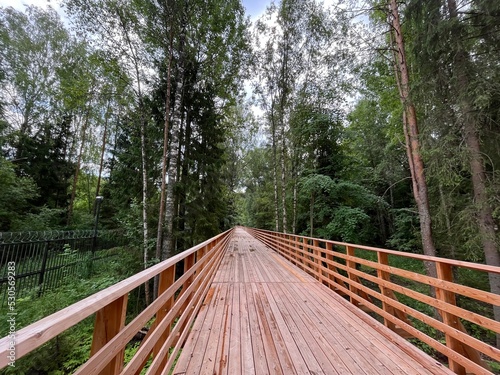 wooden bridge in the middle of the forest