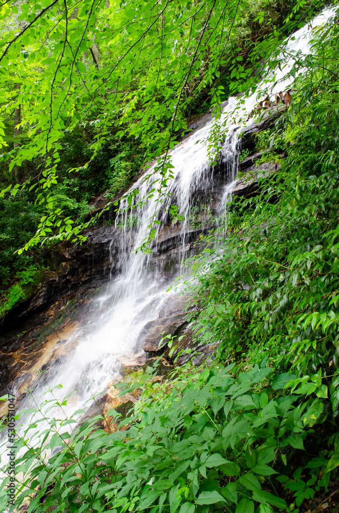 Fototapeta premium A waterfall in a lush green summer mountain scene 