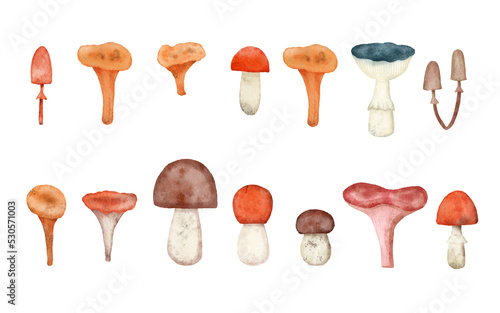 Cute coloured fairy mushrooms. Watercolour illustration set of forest mushrooms. Isolated on white sticker set.