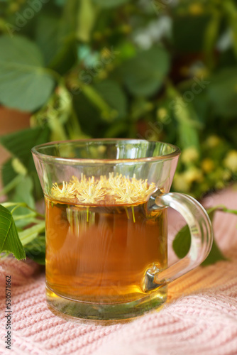 Glass cup of aromatic tea with linden blossoms on pink cloth
