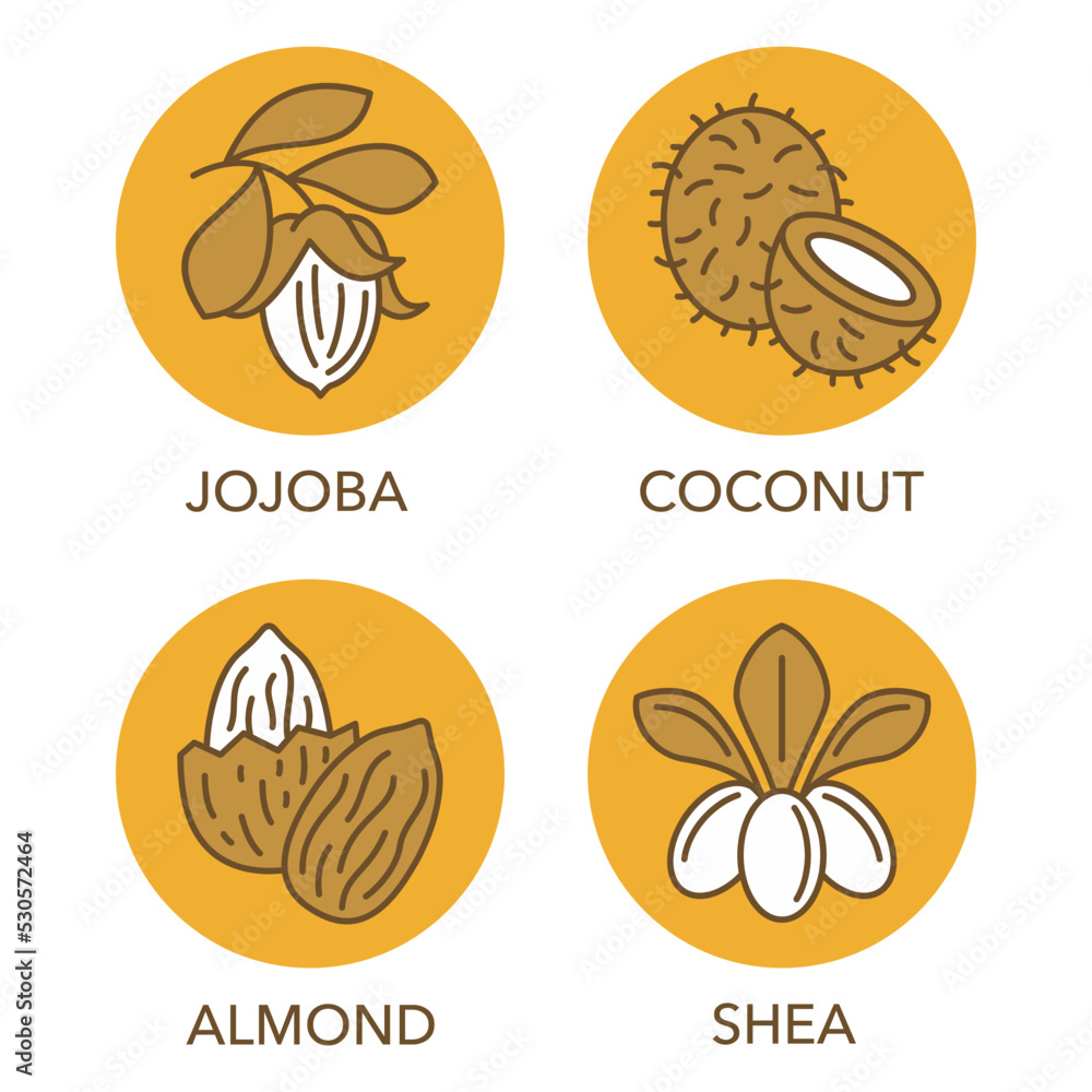 Obraz premium Coconut, shea, jojoba and almond icons set