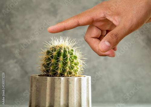 Close up photo of finger touching cactus needle. Concept of tactile or touch sense. As a symbol of masochism. photo