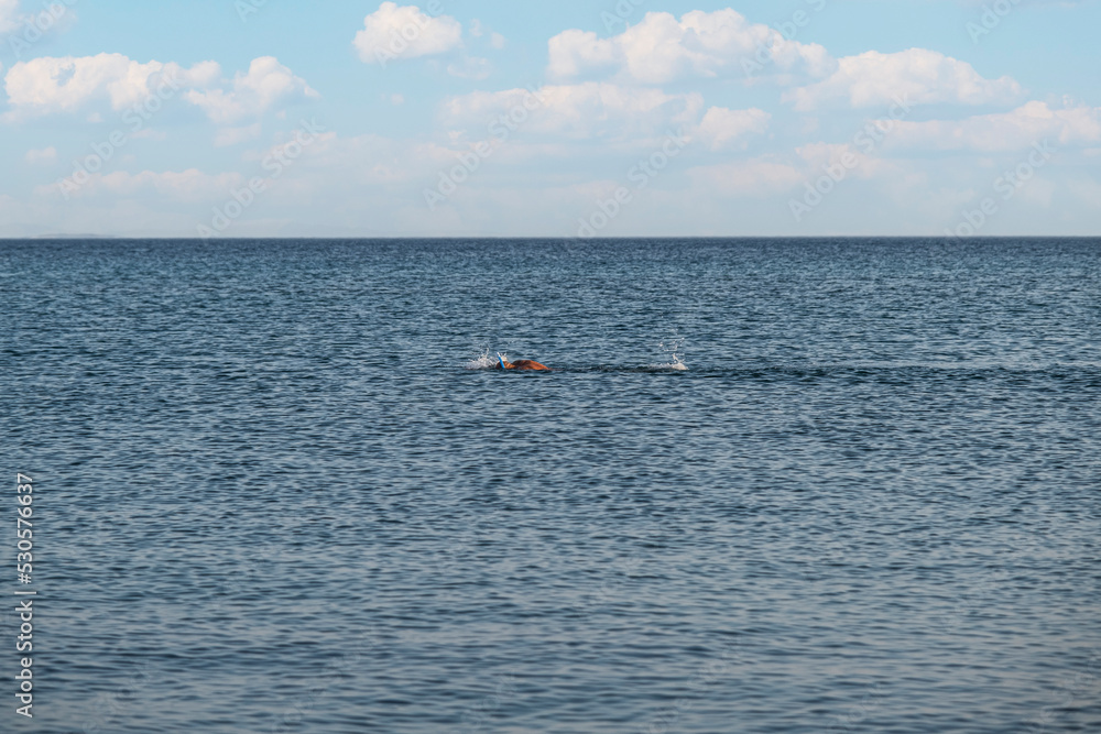 the only man swimming in the calm and calm sea. Selective Focus swimmer.