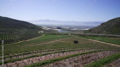 A view of vineyards in a mountain valley with a road passing through near the town of Riebeek Kasteel in the western cape. photo