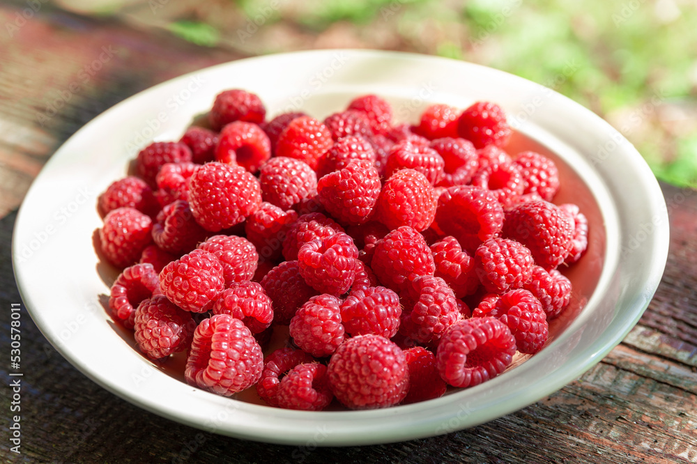 Raspberry berries. Raspberries in a bowl. Selective focus. Shallow depth of field. Blurred background Raspberry berries. Raspberries in a bowl. Selective focus. Shallow depth of field. Blurred background