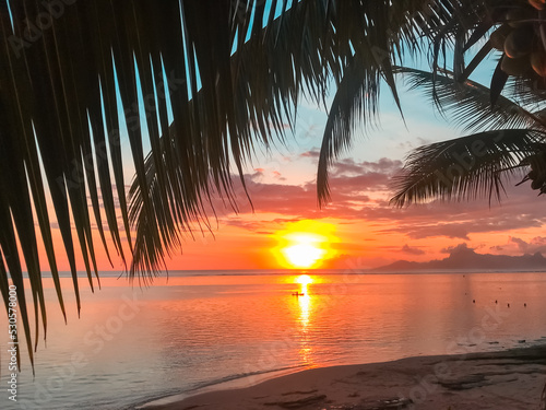 Bright orange sunset view under palm tree branch silhouette. Sand beach seascape, sun reflection in calm sea water. Amazing natural summer scenery. Beautiful nature landscape. Travel, tourism, relax © Anastasia Pro