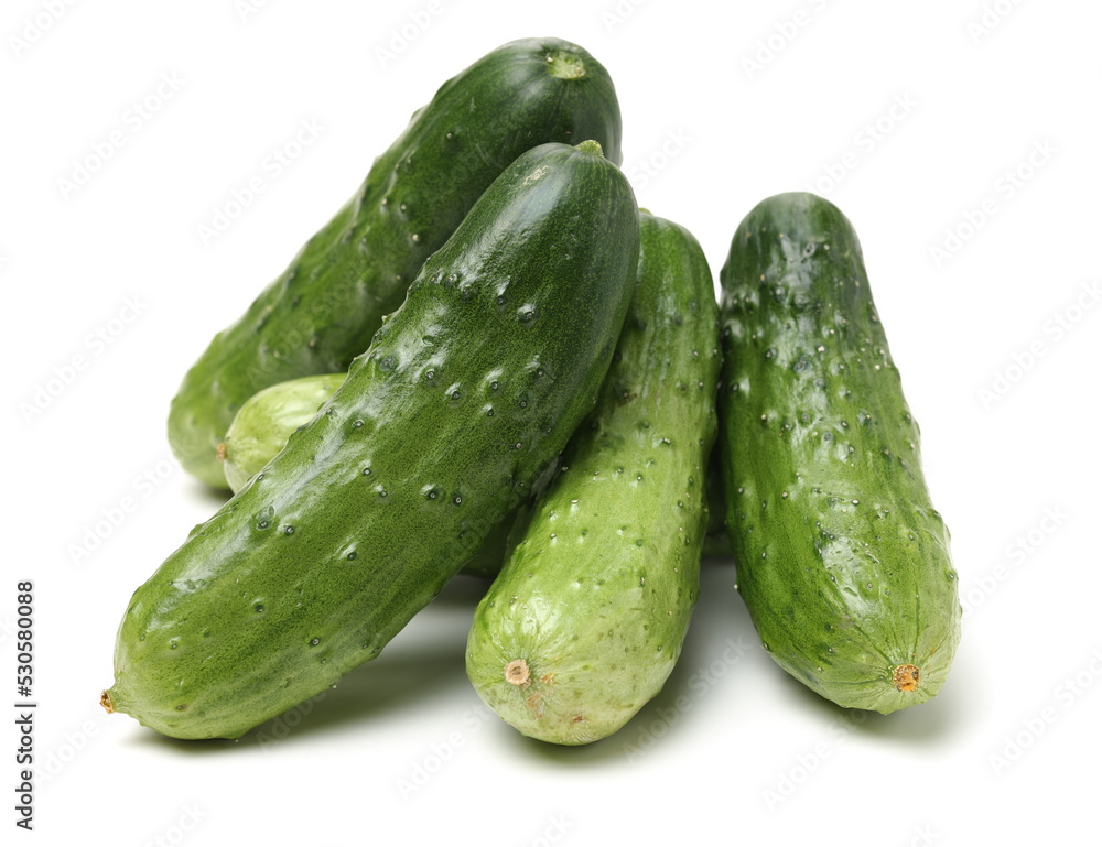 Green cucumber on the white background Green cucumber on the white background