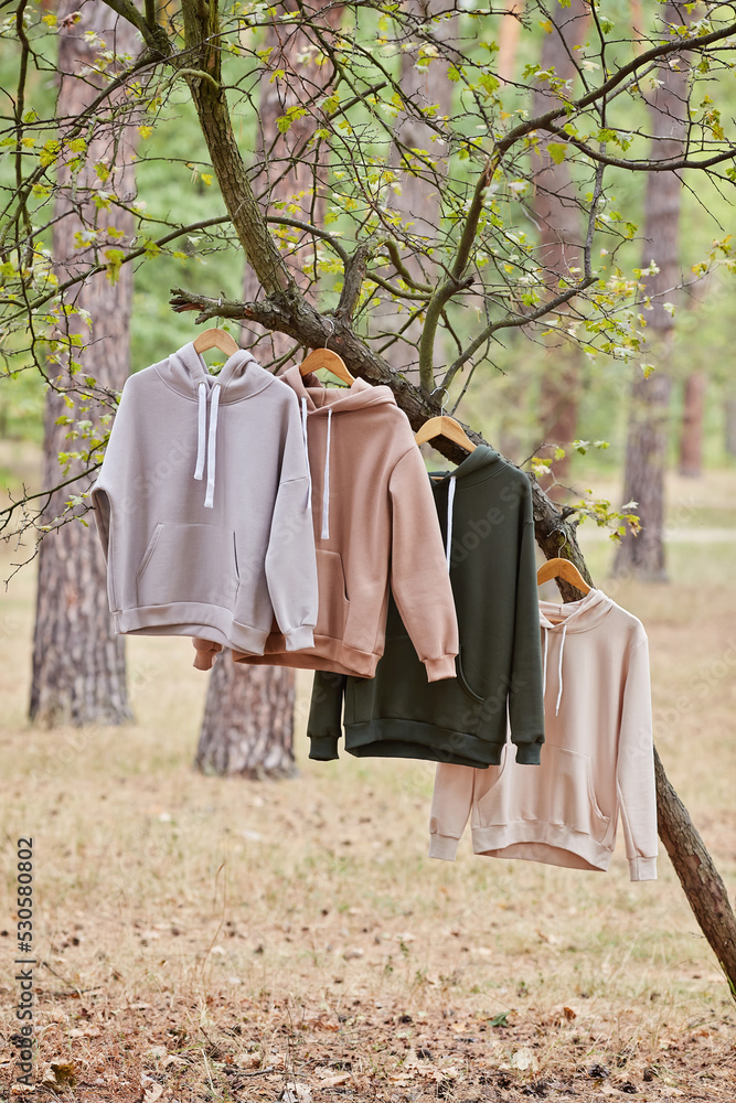 Several multicolored hoodies hang on hangers in a tree. Several multicolored hoodies hang on hangers in a tree.