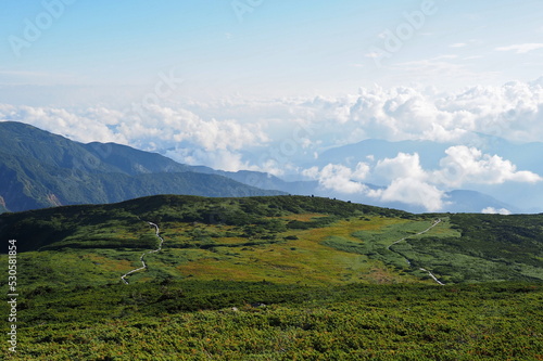雲の上の高原に伸びる２本の登山木道 © Keisuke.W