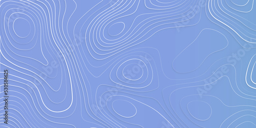 Topographic map. Geographic mountain relief. Abstract concept graphic element and geography scheme, topographic map and landscape terrain texture grid., abstract colorful topography vector background 