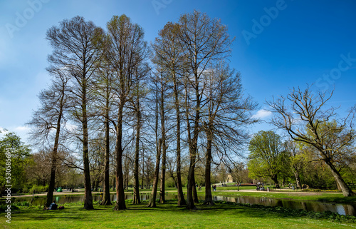 Beautiful view of a lake in Vondelpark, Amsterdam, Netherland