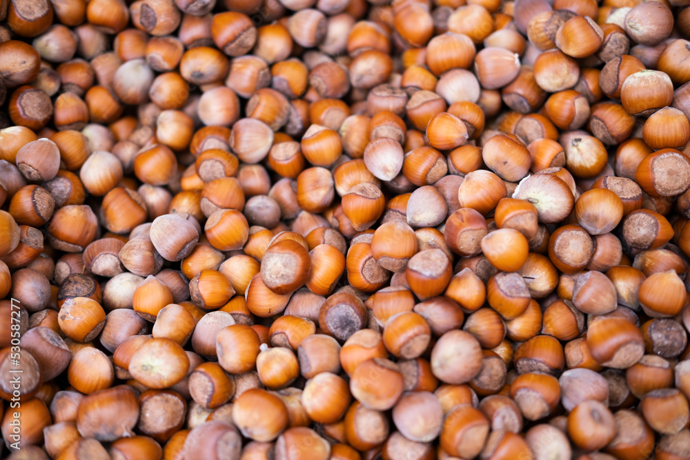 Photo of hazelnut. Hazelnut nut health organic brown filbert autumn background concept. Food background. Photo of hazelnut. Hazelnut nut health organic brown filbert autumn background concept. Food background.