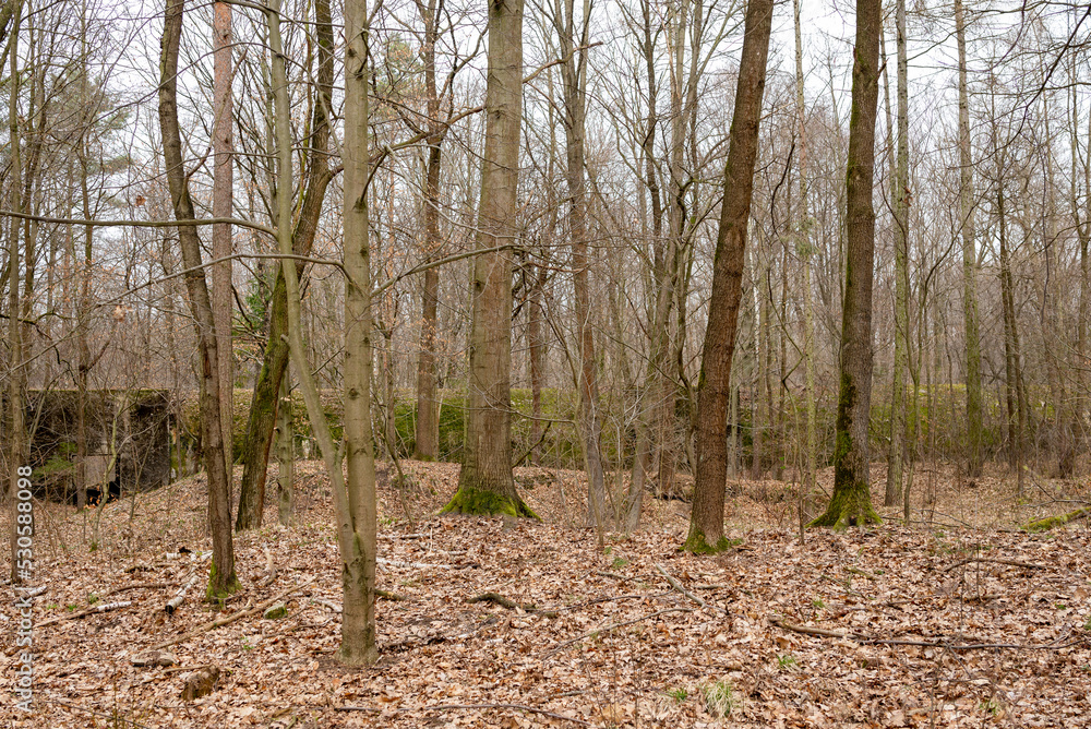 Kędzierzyn-Koźle, woj. Opolskie, Polska 29.03.2022. Niemieckie fortyfikacje z II wojny światowej, bunkier przeciwlotniczy typu Salzgitter-Bunker, Krankenhäuser, widok z zewnątrz (2). Kędzierzyn-Koźle, woj. Opolskie, Polska 29.03.2022. Niemieckie fortyfikacje z II wojny światowej, bunkier przeciwlotniczy typu Salzgitter-Bunker, Krankenhäuser, widok z zewnątrz (2).