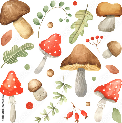 Set of watercolor vintage mushrooms isolated on white. Fall harvest forest mushrooms. Natural autumn botanical collection. Vegetarian food