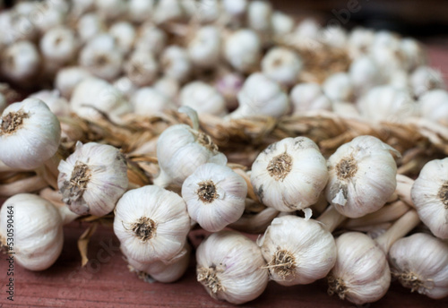 Garlic wreaths. Rich harvest.