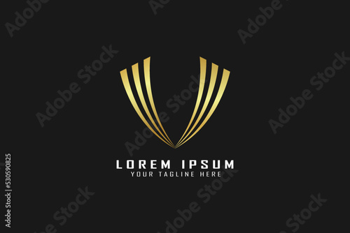 V modern luxury Golden letter illustration, Beauty Brand, Fashion Brand Icon, V logo Typogrpahy
