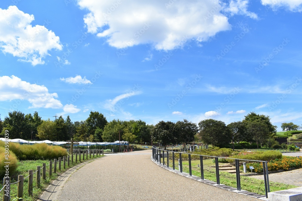 植物園の小道、夏の青空と白い雲、木の柵