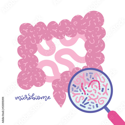 Gut microbiota viewed under a magnifying glass. Human gut and microbiome concept. Glat vector illustration for topics like digestive system, probiotics, imminity, health checkup.